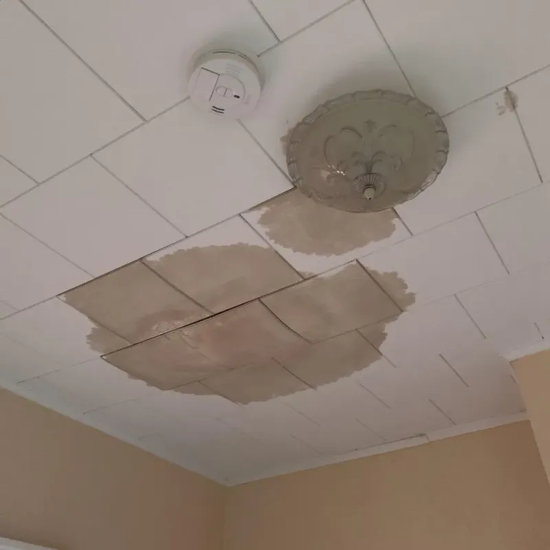 Ceiling Water Damage Repair in Whitaker, PA
