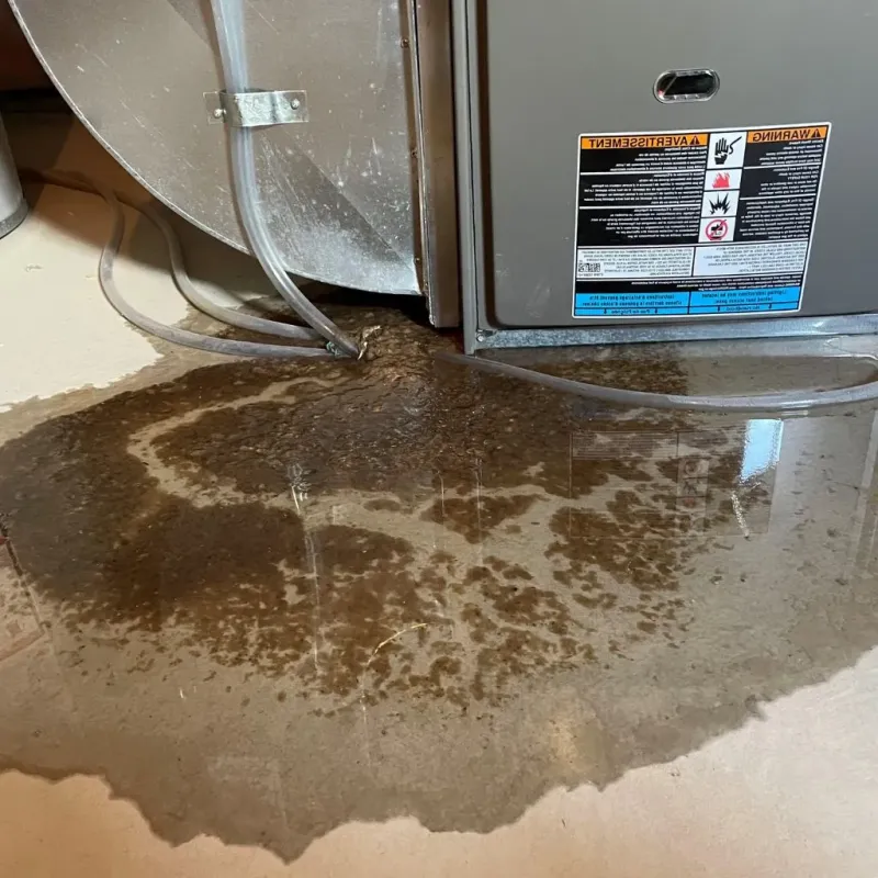 Pipe Burst and Leak Restoration in Whitaker, PA