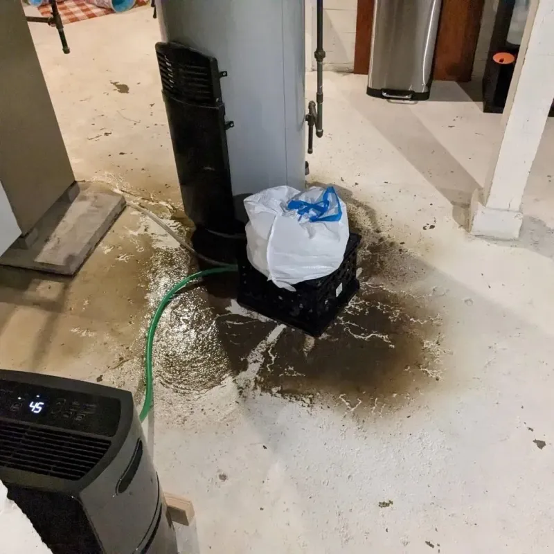 Sewage Backup Cleanup Service in Whitaker, PA